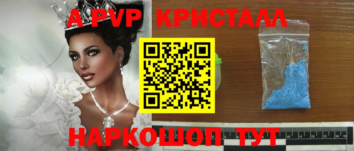A PVP СК КРИС Луга