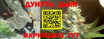 шишки Изобильный