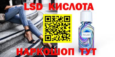шишки Изобильный