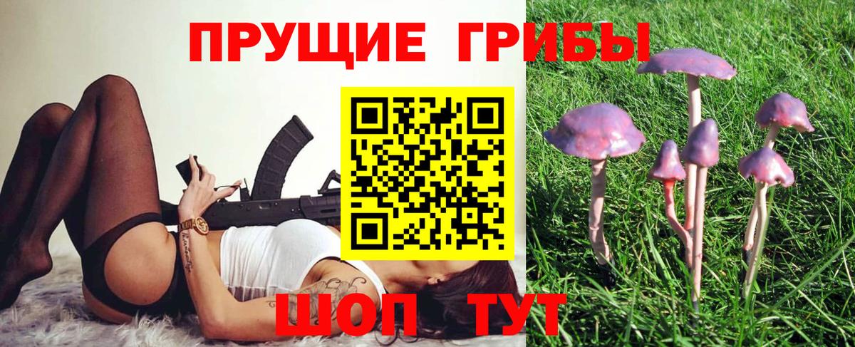 Псилоцибиновые грибы мицелий  Вход с VPN  Луга 