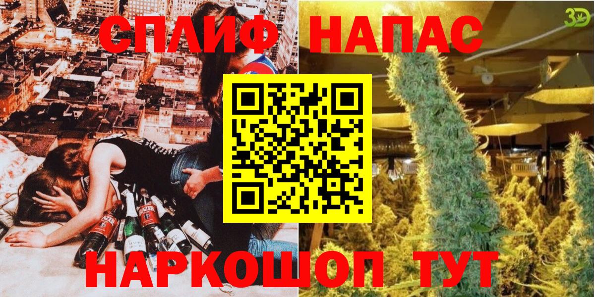 Луга  Каннабис семена  Бошки марихуана OG Kush  Каннабис семена  Вход с VPN 